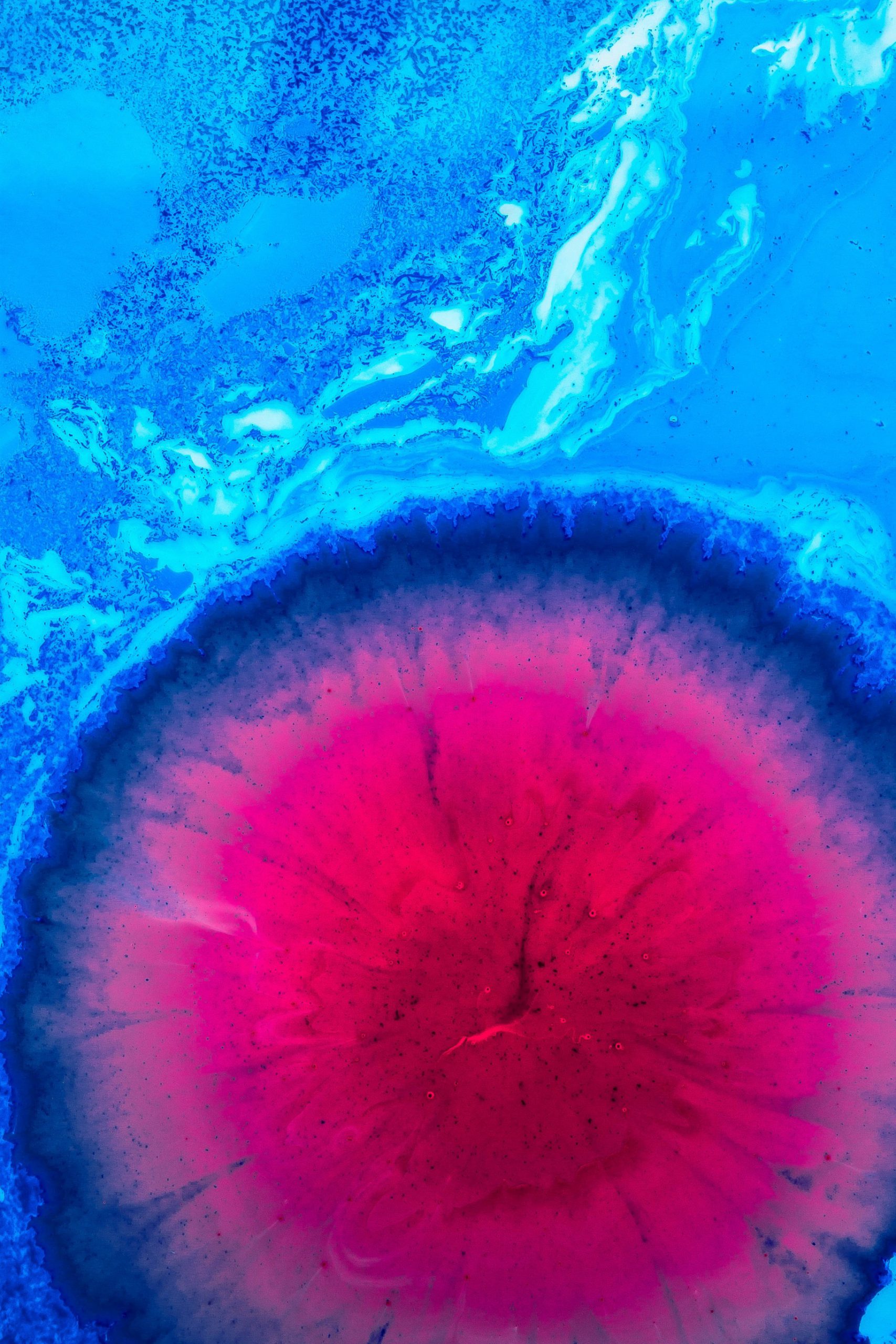 Assessing the patient oncology landscape - treatments and diagnostics today and in the future (Part 1)